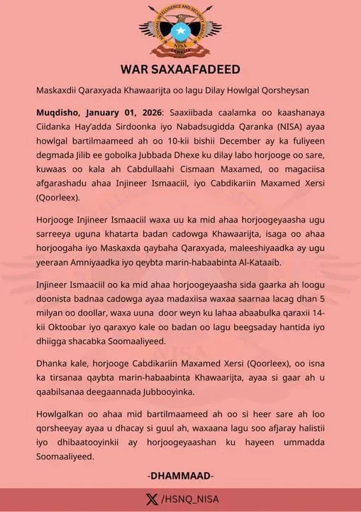 Joint NISA–International Operation Eliminates Top Al-Shabaab Operatives in Jilib