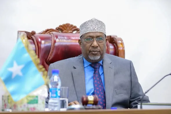 Somali Parliament approves IGAD agreement during the 30th session of the House of the People