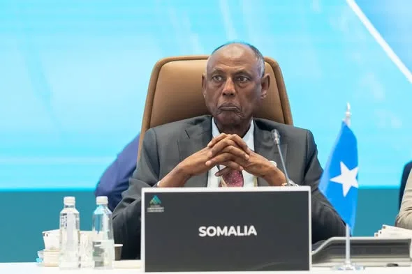 somalia’s minister of labour participates in global labor market conference in saudi arabia