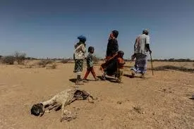 Severe drought grips Mudug region as water shortages worsen.