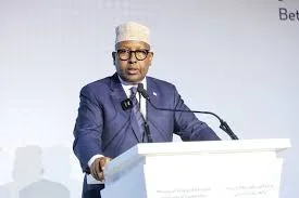 Somalia’s Defense Minister Ahmed Moallim Fiqi speaks to state media on counterterrorism operations.