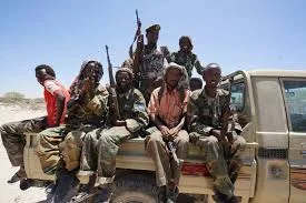 Somali National Army Kills Five Militants in Planned Operation in Gedo Region