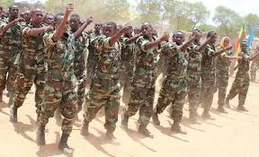 Somali National Army Eliminates Militant Leader in Planned Operation in Lower Shabelle