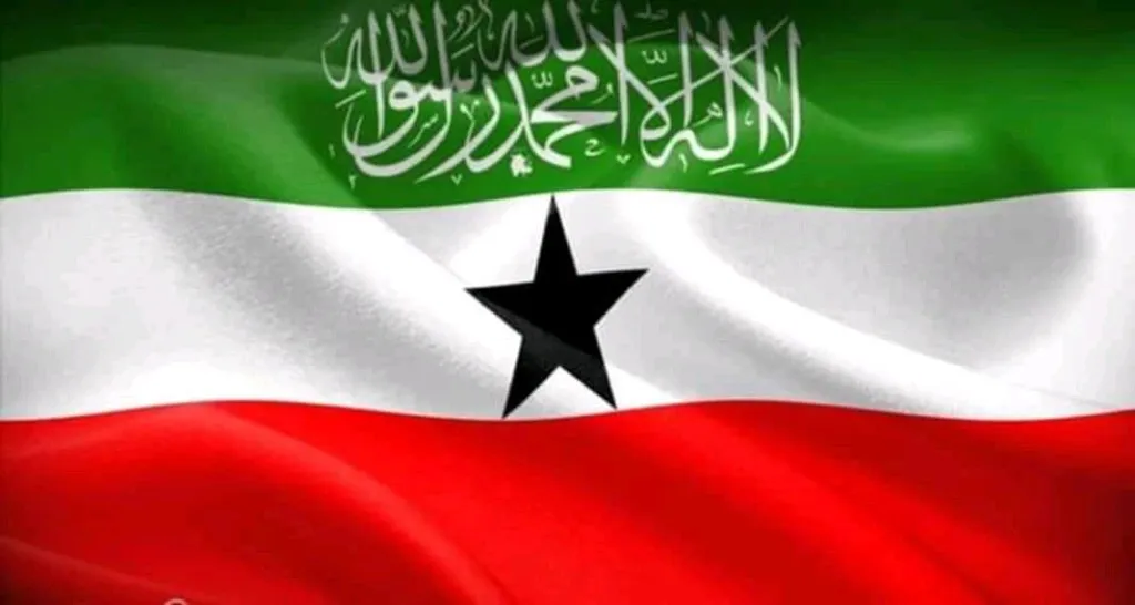 Somaliland oo si adag u diiday tallaabada DFS ka qaadday heshiisyada Imaaraadka Carabta